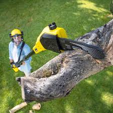 Why Choose Our Tree Removal Services in Esko, MN?